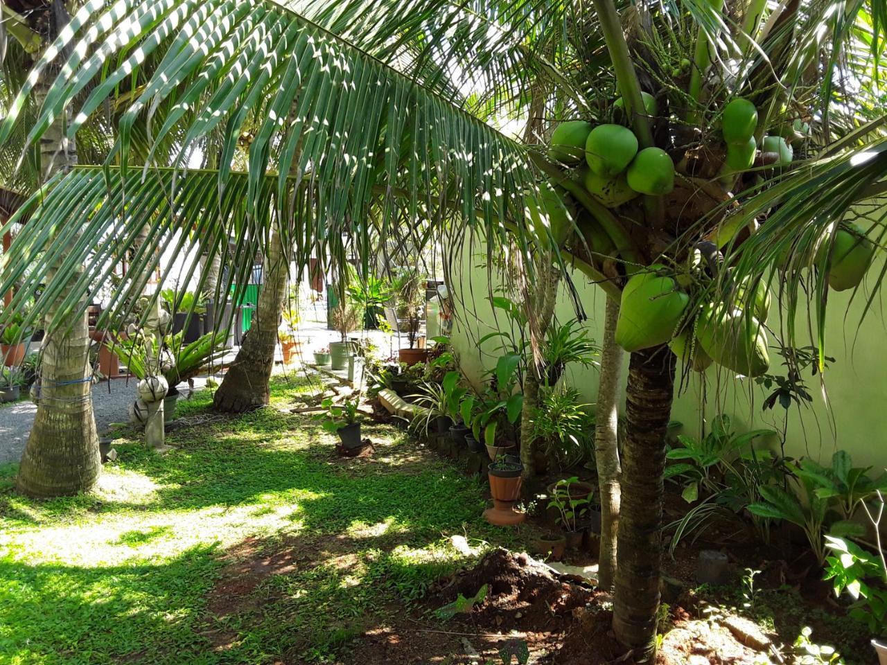 Karl Holiday Bungalow Kalutara Buitenkant foto